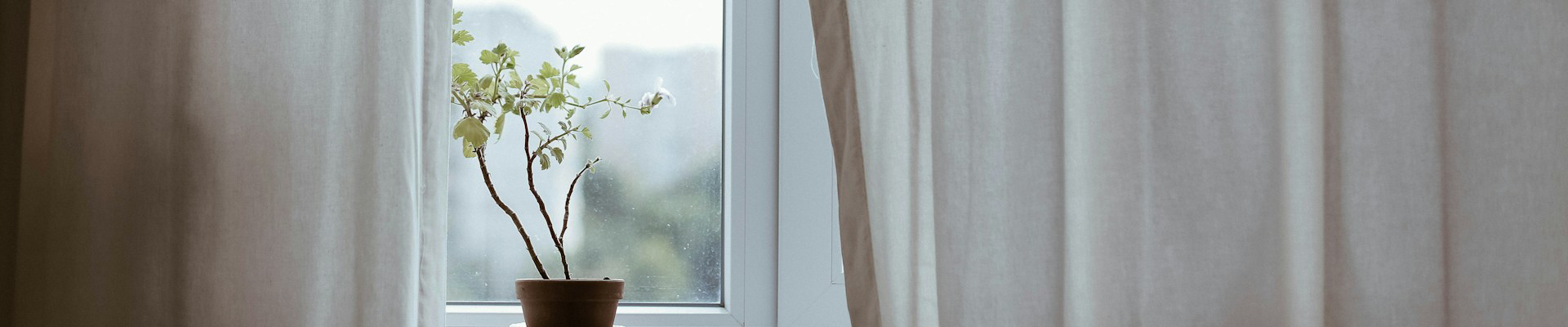 Fenster