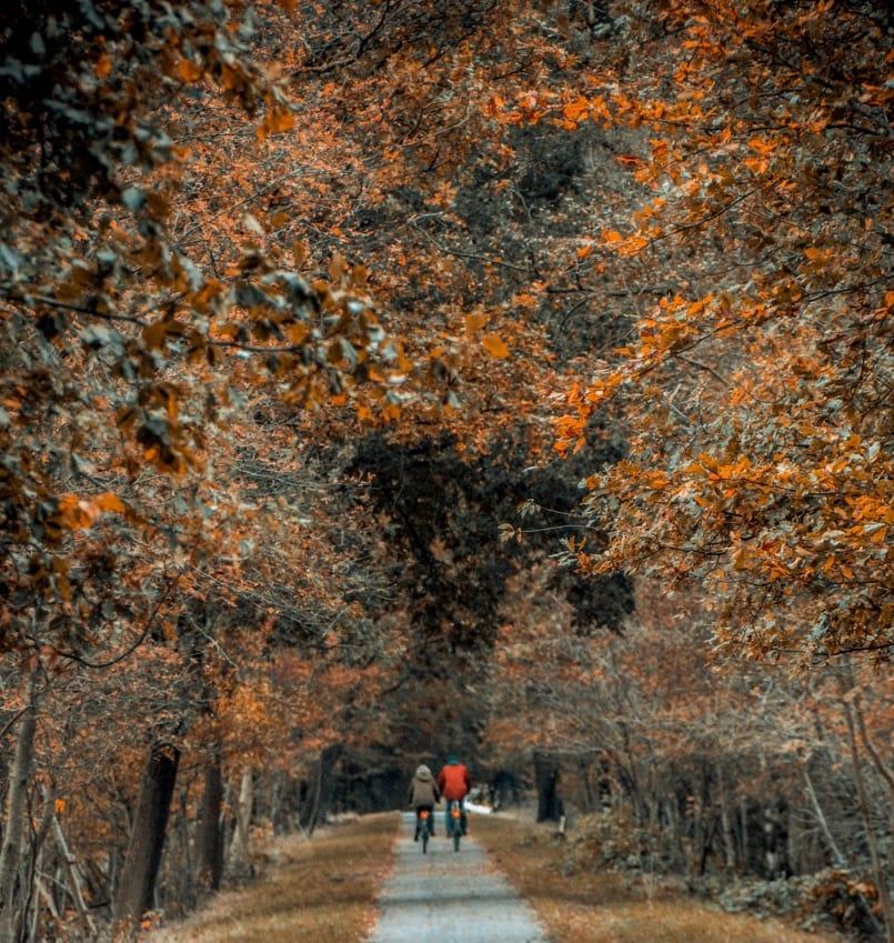 Herbstwanderungen