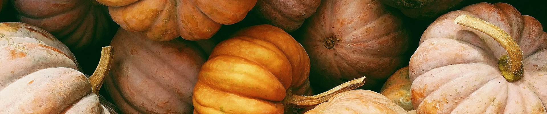 Ernährungstipps für den Herbst