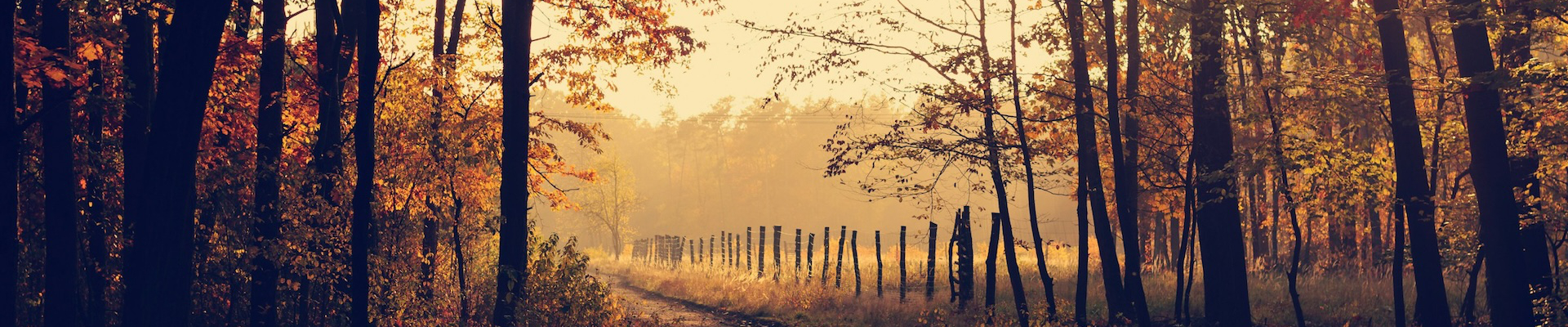 Herbstwanderungen