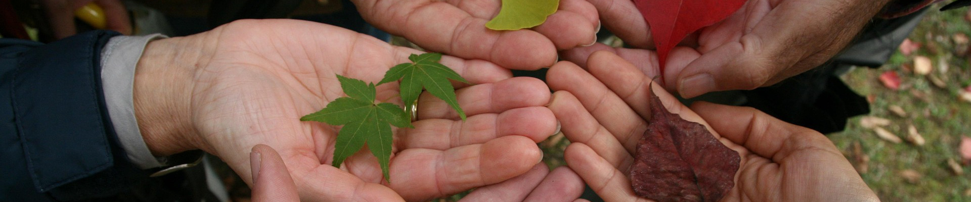 Frauen gestalten Zukunft