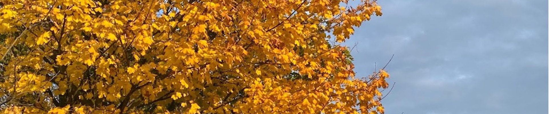 Bauen für alle Generationen