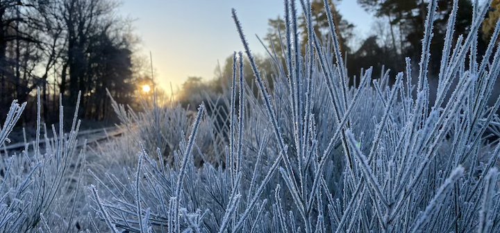 Frohe Weihnachten und ein starkes neues Jahr