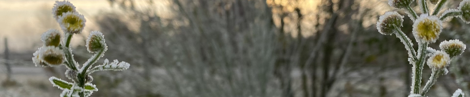 Der neue Gemeinschaftsraum der BGD - Titelbild