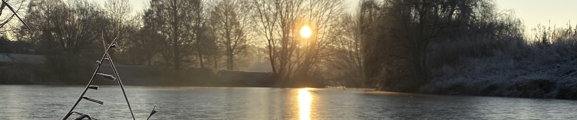 Neues aus dem BGD-Quartiersbüro von Michaela Gillrath