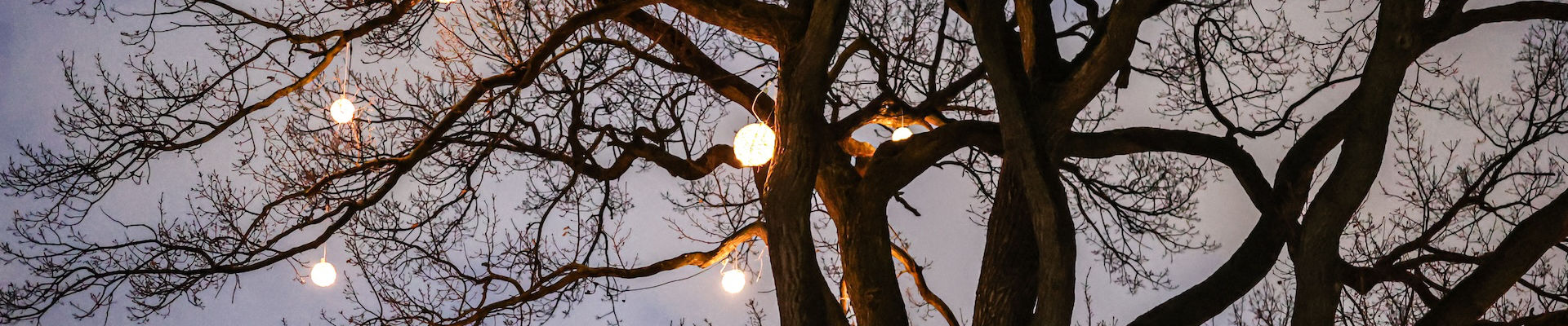 Gemeinschaft Lichter