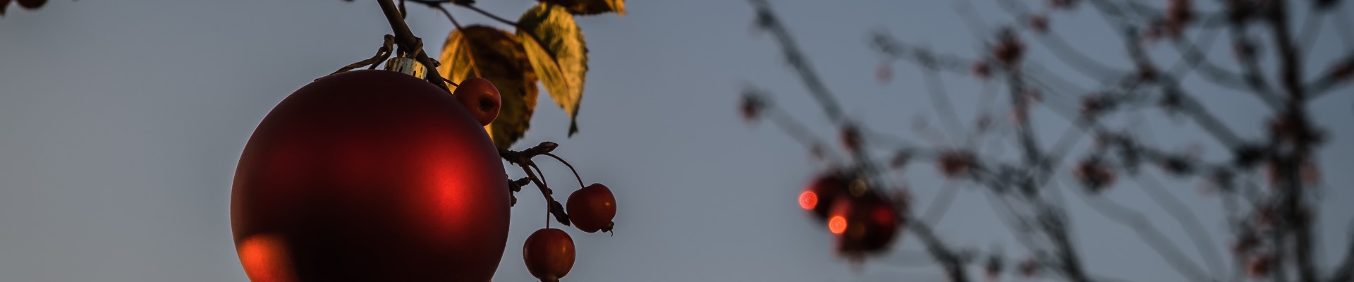 Mein-Zuhause-BGD-042025-category Mein-Zuhause-BGD-042025-category