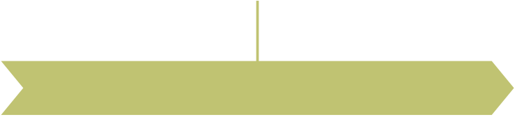 1990-2010 Wiedervereinigung