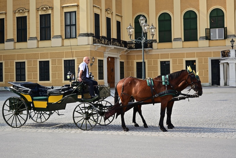Kutschfahrt in Wien