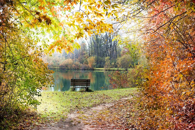 Wanderung im bunten Herbstwald