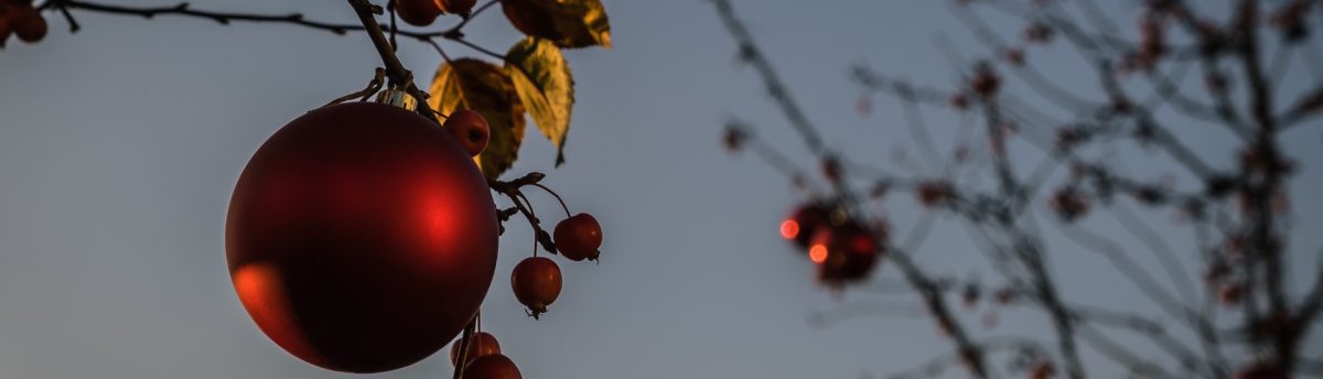 Die Online-Mitgliederzeitschrift der Baugenossenschaft Dormagen Ausgabe 04/2025