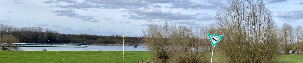 Zonser Grind Blick auf den Rhein