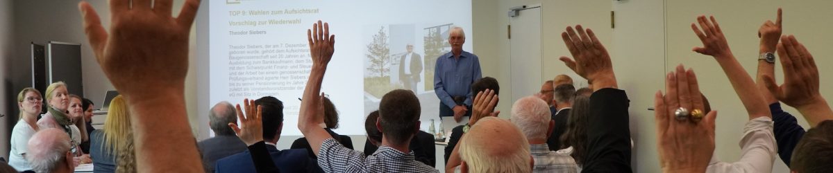 Vertreterversammlung Abstimmung